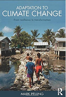 Adaptation to climate change: from resilience to transformation