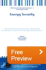 Energy security: international and local issues, theoretical perspectives, and critical energy infrastructures